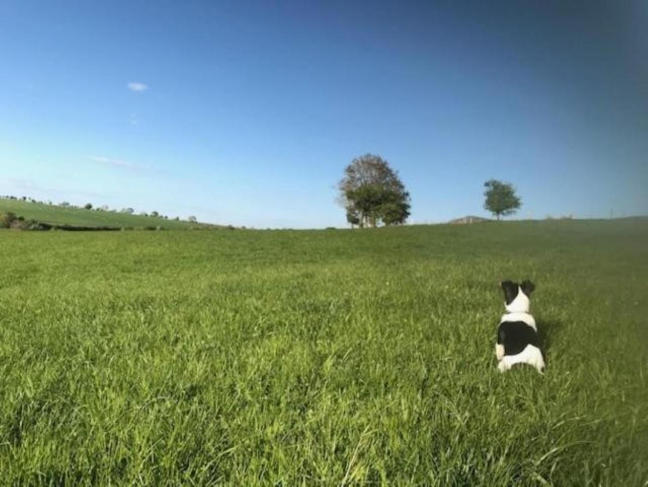 The At Sychnant Farm